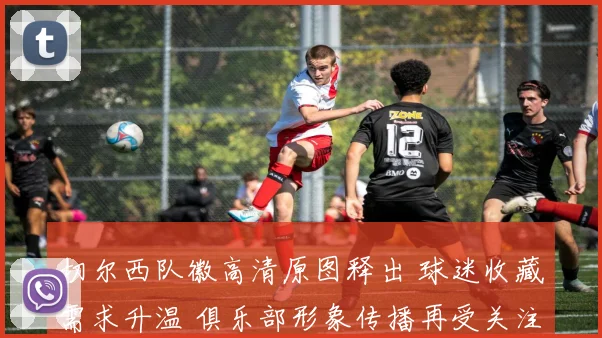 切尔西队徽高清原图释出 球迷收藏需求升温 俱乐部形象传播再受关注