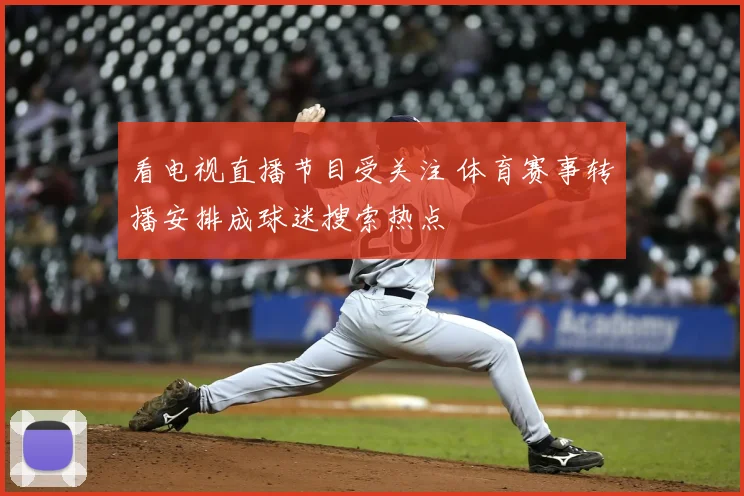 看电视直播节目受关注 体育赛事转播安排成球迷搜索热点