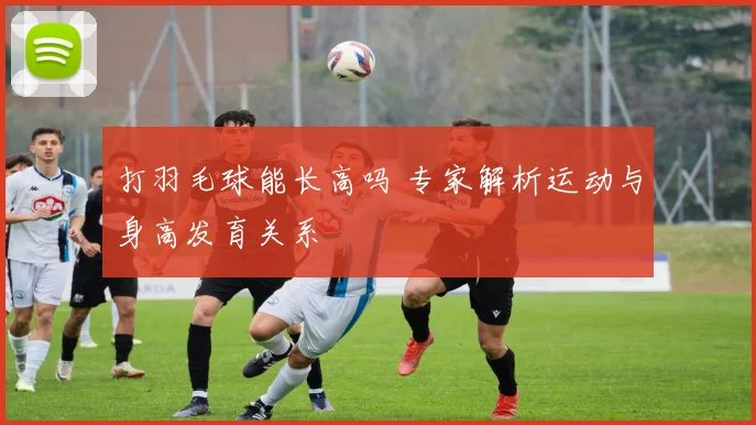 打羽毛球能长高吗 专家解析运动与身高发育关系