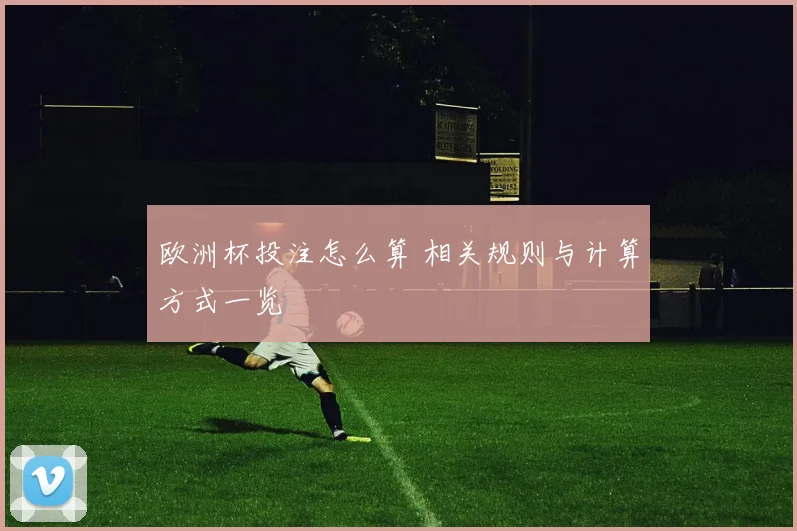 欧洲杯投注怎么算 相关规则与计算方式一览