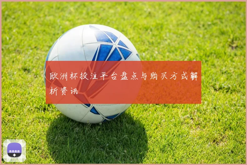 欧洲杯投注平台盘点与购买方式解析资讯