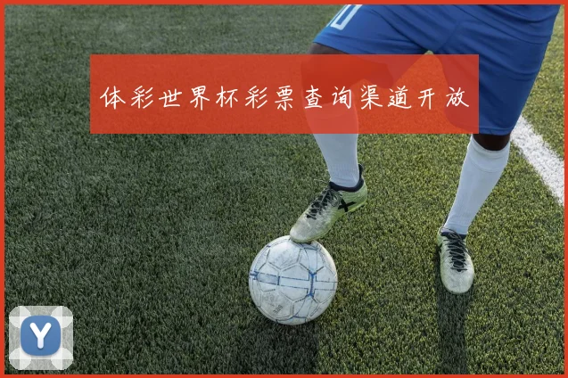 体彩世界杯彩票查询渠道开放
