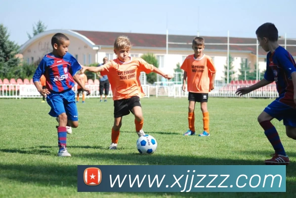 世界杯app官网发展历程